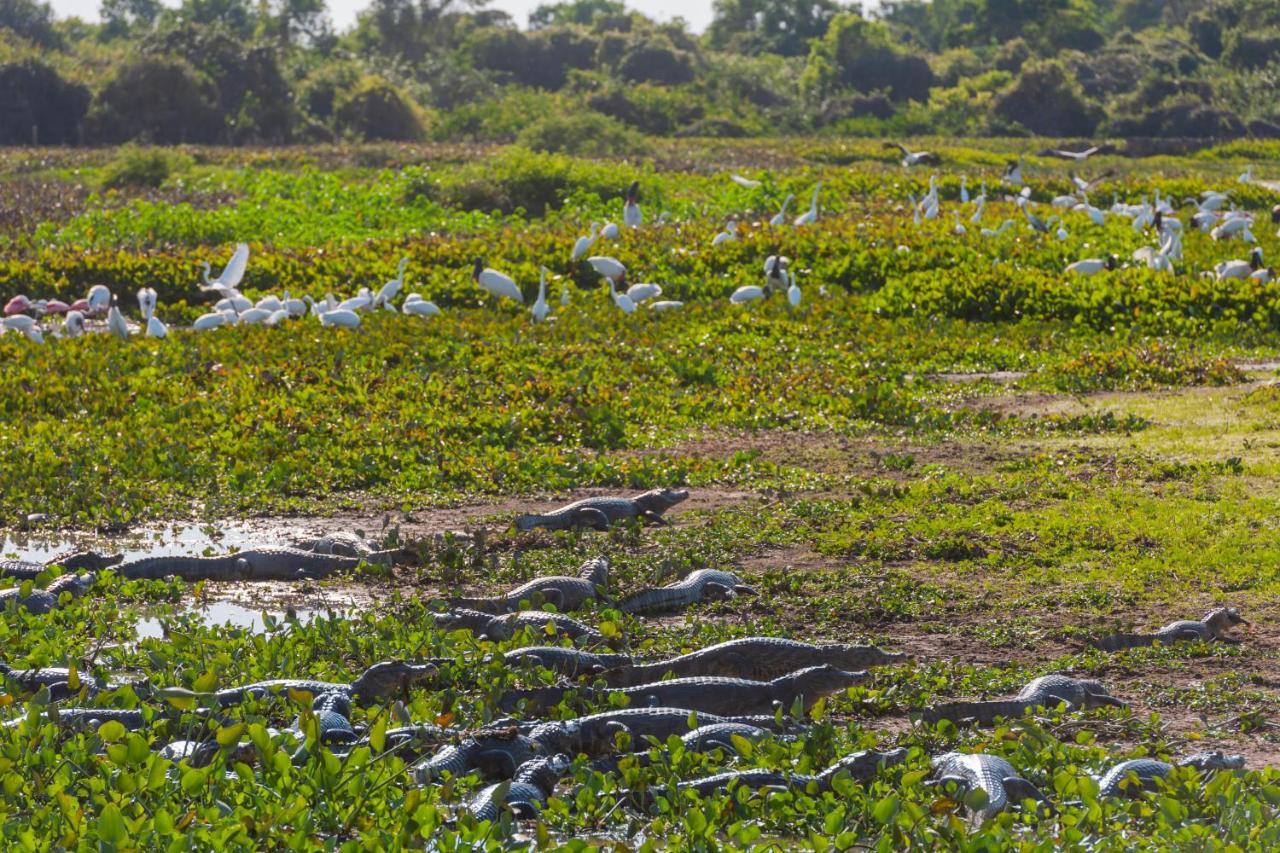 Pousada Rio Claro Pocone Ngoại thất bức ảnh