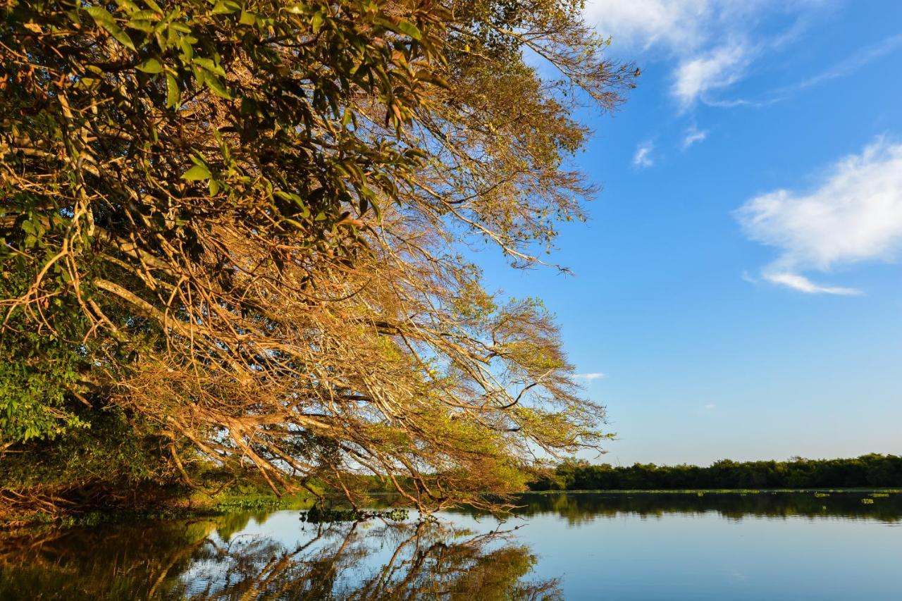 Pousada Rio Claro Pocone Ngoại thất bức ảnh