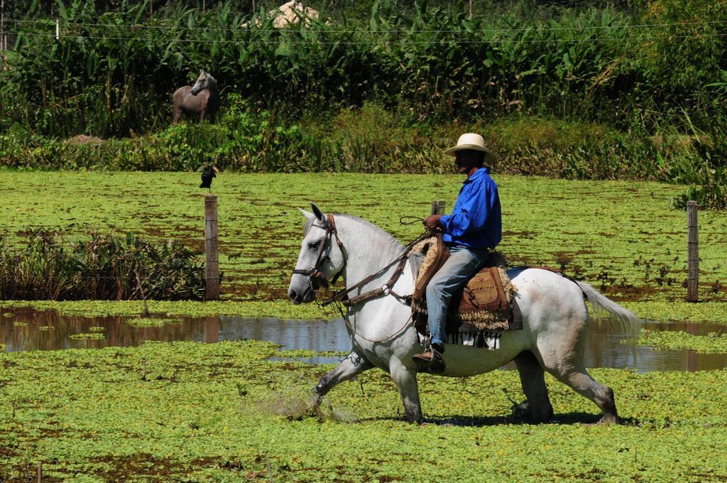 Pousada Rio Claro Pocone Ngoại thất bức ảnh
