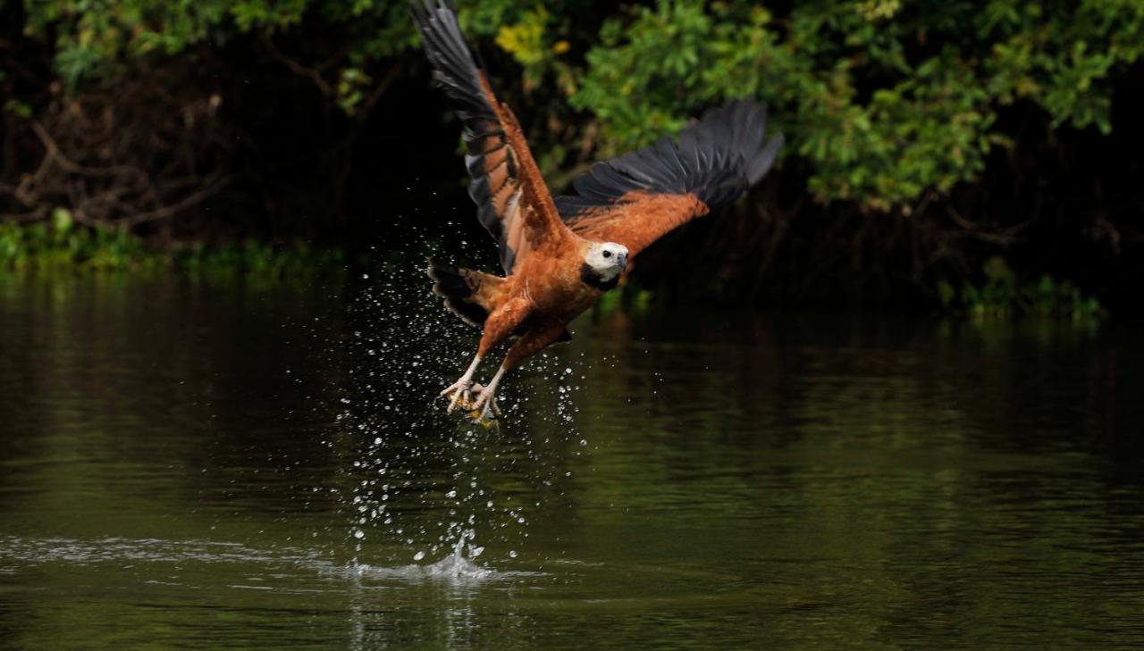 Pousada Rio Claro Pocone Ngoại thất bức ảnh