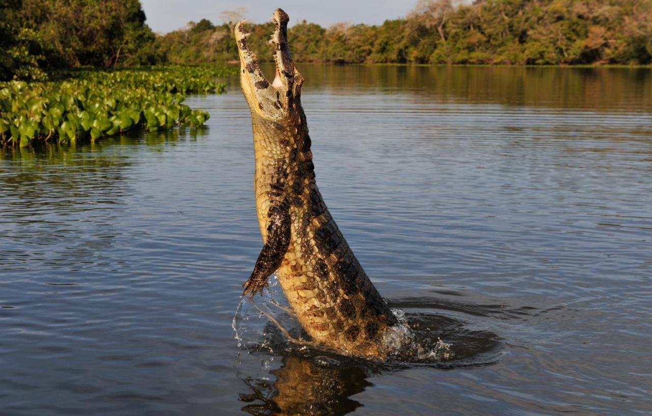 Pousada Rio Claro Pocone Ngoại thất bức ảnh
