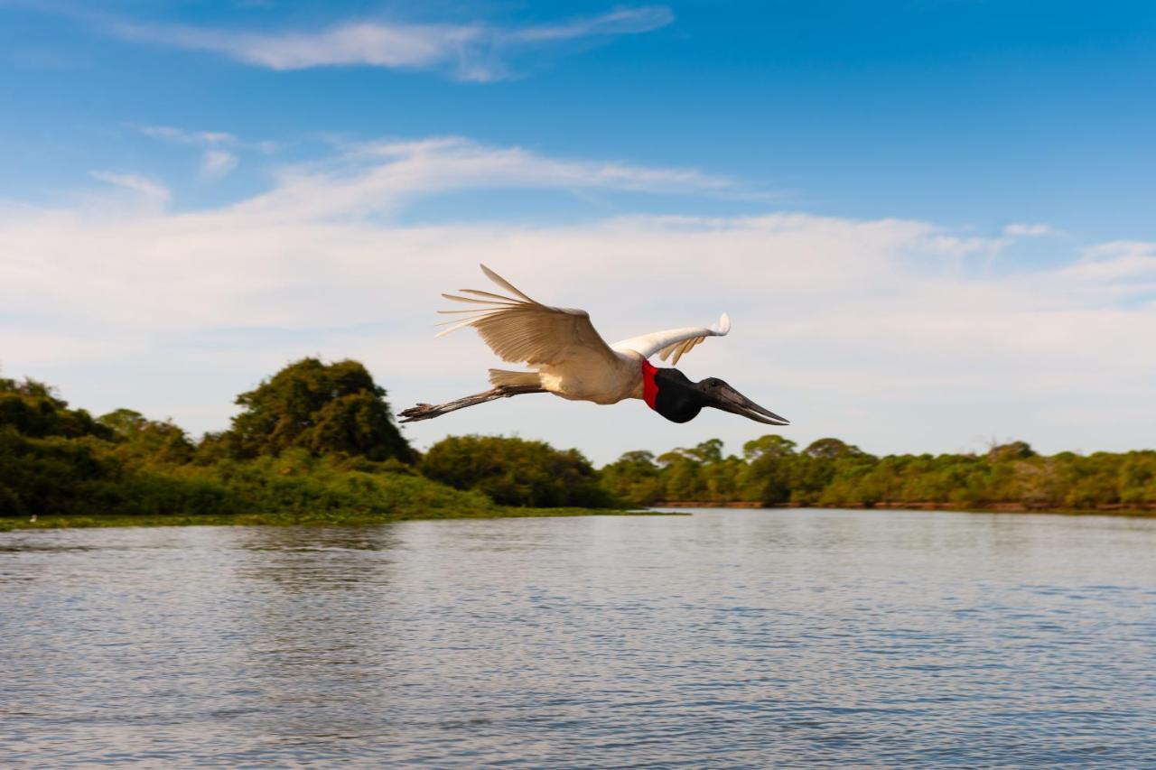 Pousada Rio Claro Pocone Ngoại thất bức ảnh
